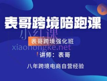 表哥跨境OZON陪跑课,从店铺开设到爆款打造与运营进阶