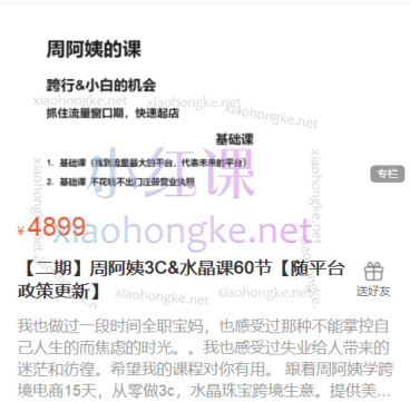 ZAY跨境学院周阿姨3C&水晶课,抓住流量窗口期,快速起店