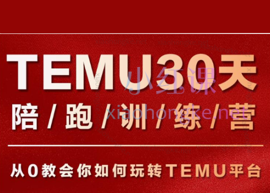 番茄出海Temu30天陪跑训练营第三期，从0教会你如何玩转TEMU平台