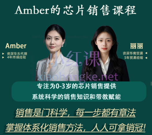 Amber的芯片销售系统课,从入门到精通的全方位秘籍