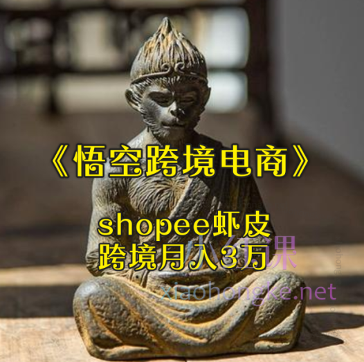 《悟空跨境电商》shopee虾皮,跨境月入3万