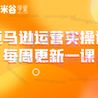 2021-2025米谷学堂亚马逊运营实操课,从0到爆单!全年全链路高阶实战指南!跨境人必看🔥