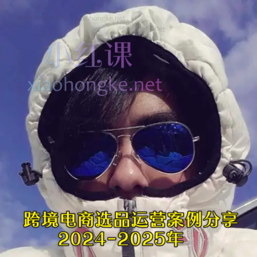 亚马逊阿甘聊跨境:跨境电商选品运营案例分享2024-2025年
