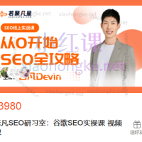 2025-2026若凡SEO研习室：谷歌SEO实操课视频课