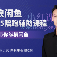 2025-2026后浪电商闲鱼陪跑辅助课程